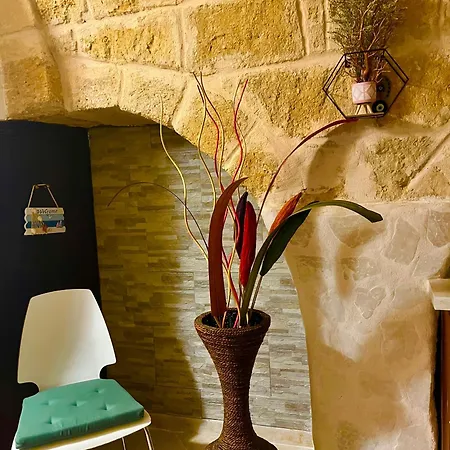 Cattleya Mola di Bari