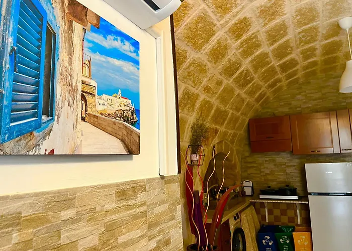 Cattleya Mola di Bari